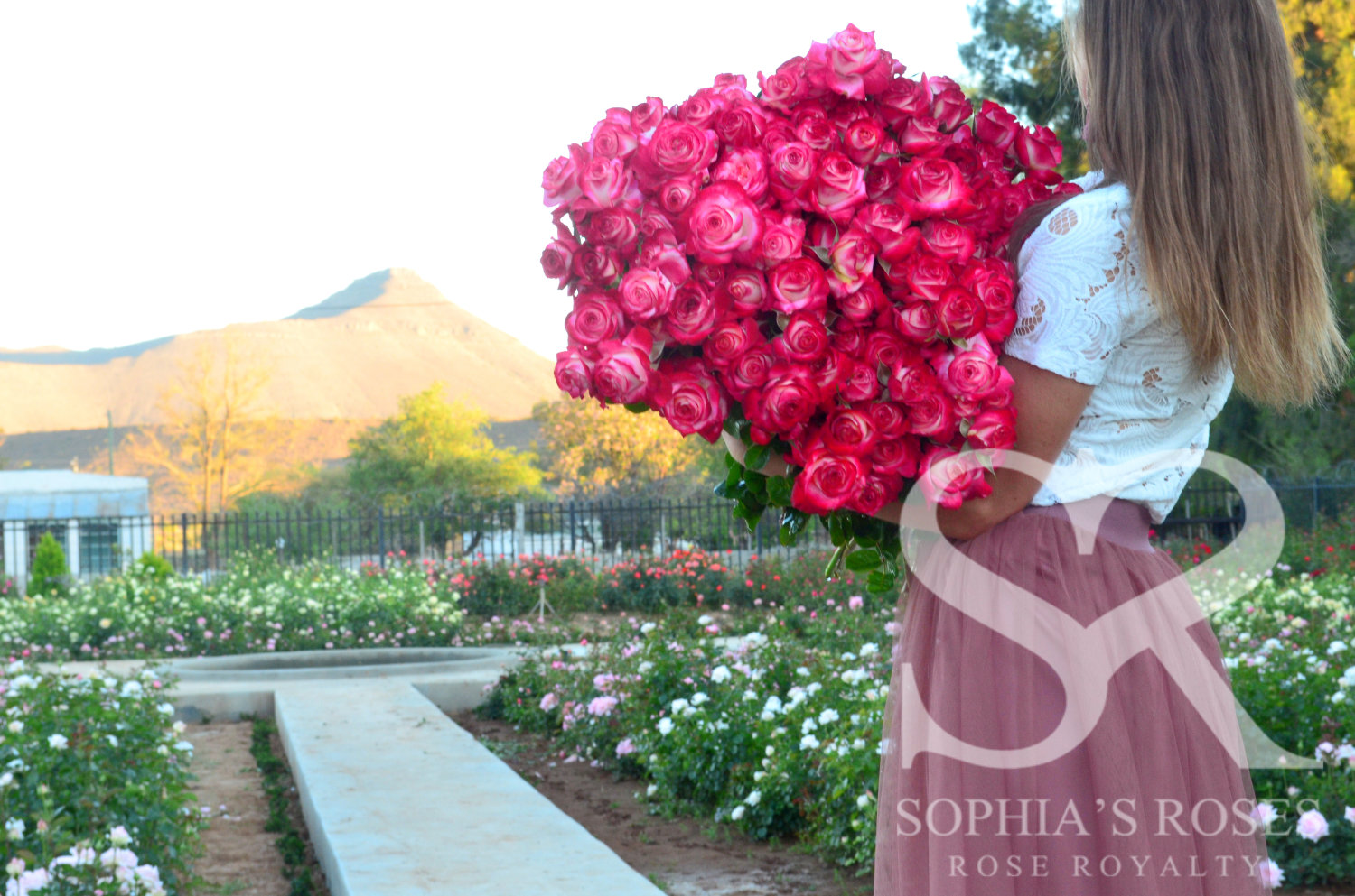 Beauty from Within * Sophia's Roses